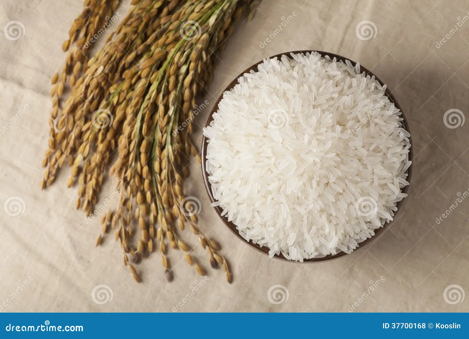 Rice
